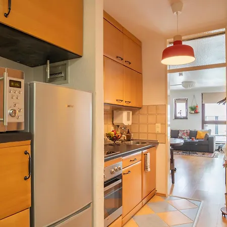 Apartment Two In One Building-schlachte *